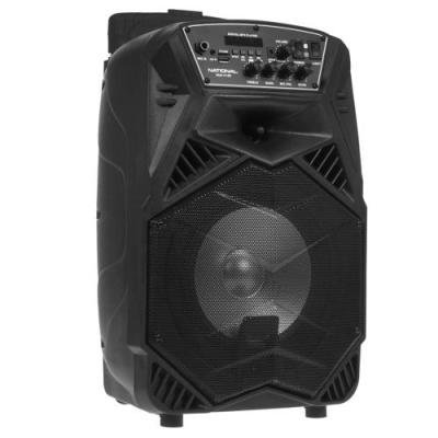 Мидисистема NATIONAL NSM-V100